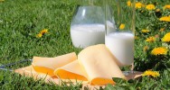 intolrance lactose allergie lait