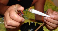 joint cannabis conduite fumeurs temps de raction