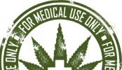 cannabis thrapeutique drogue mdicament loi